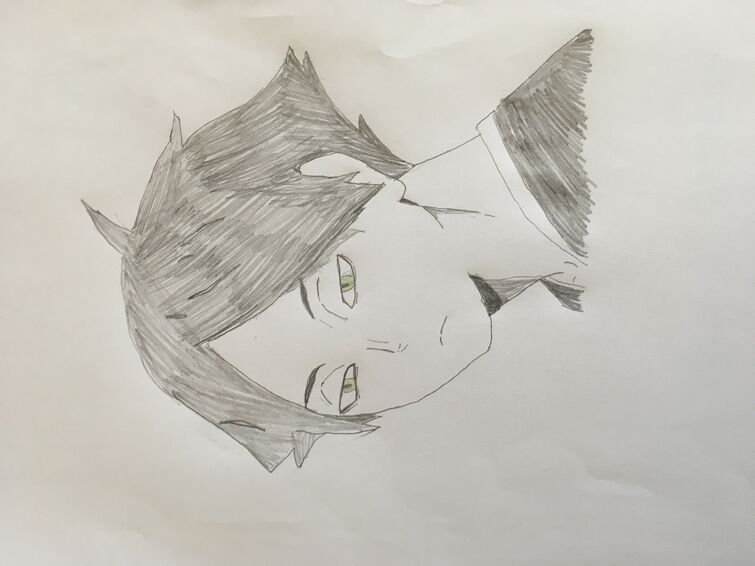 Fandom Image