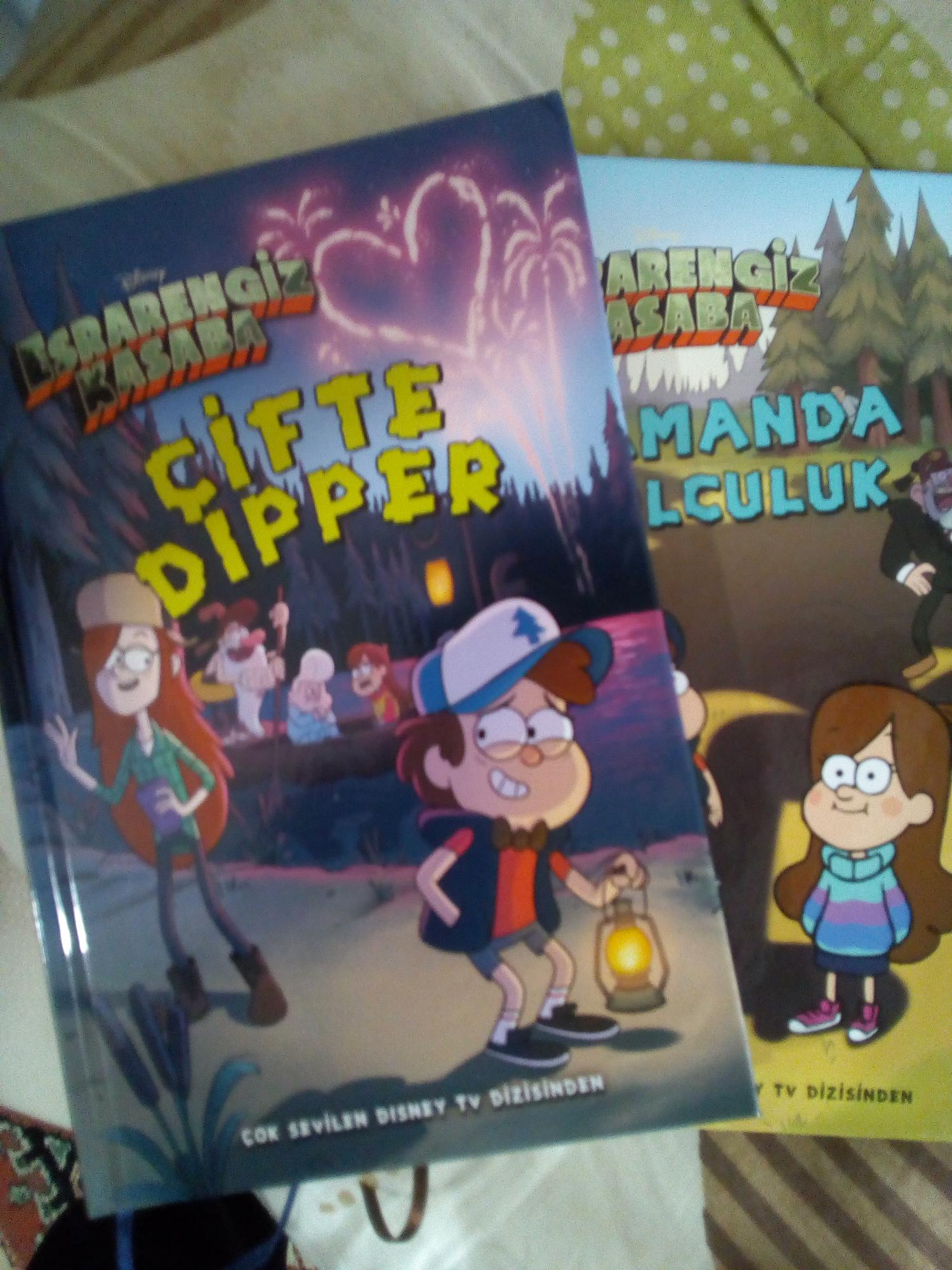 Bought these two Gravity Falls books ) Fandom