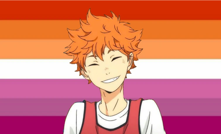 Haikyuu Pride Flags Hinata Edition Fandom