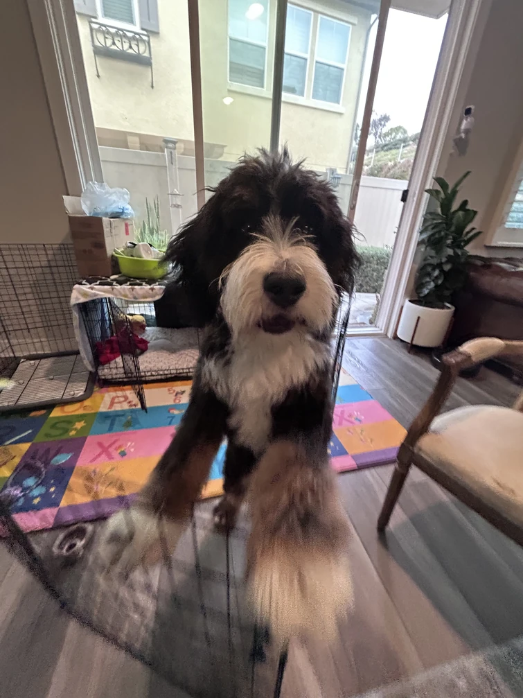 ardor warden on your math homework? it’s more likely than you think ...