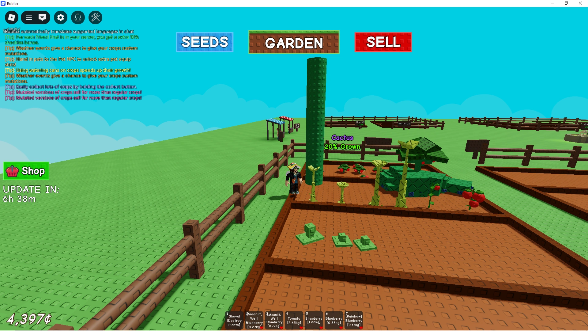 Cactus thing | Fandom