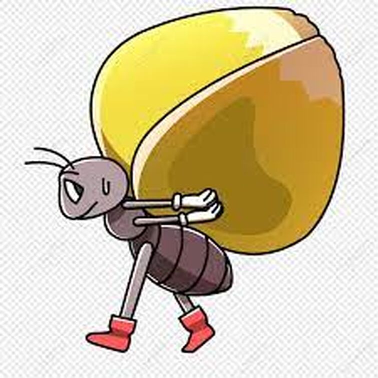 listing ant species from memory in no particular order | Fandom