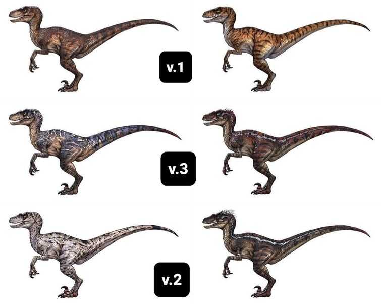 Velociraptor V.3 | Fandom