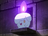 LitwickByTheFire's avatar