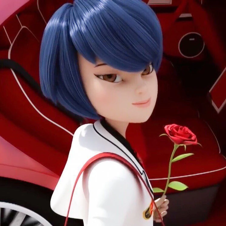 Кагами из леди баг картинки