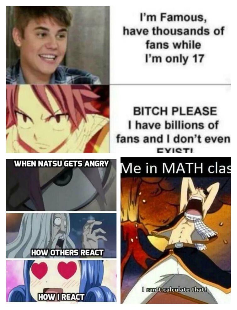 FAIRY TAIL MEMES 