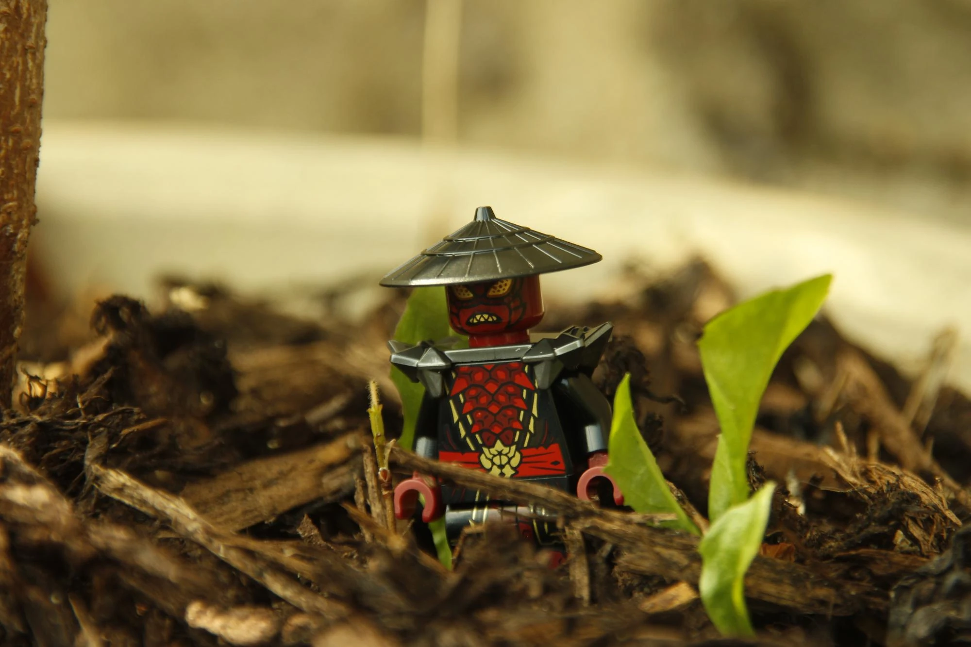 Posting a Lego photo everyday Fandom