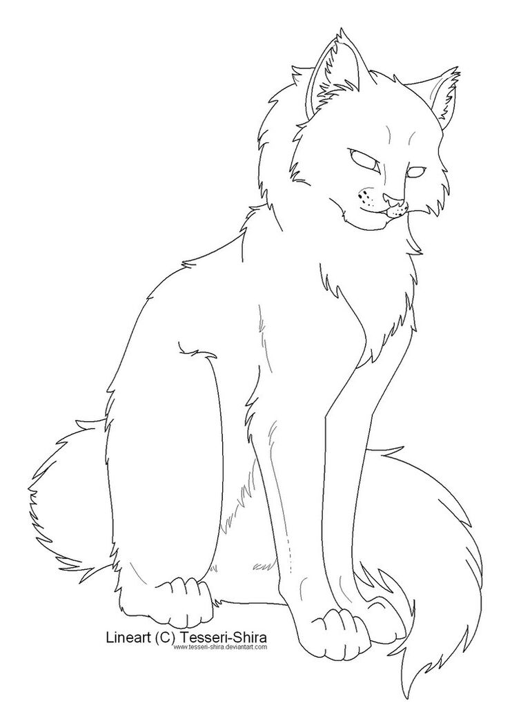 830  Warrior Cat Coloring Pages To Print  HD