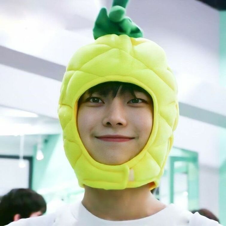 Pineapple Sunoo UwU 🍍 | Fandom