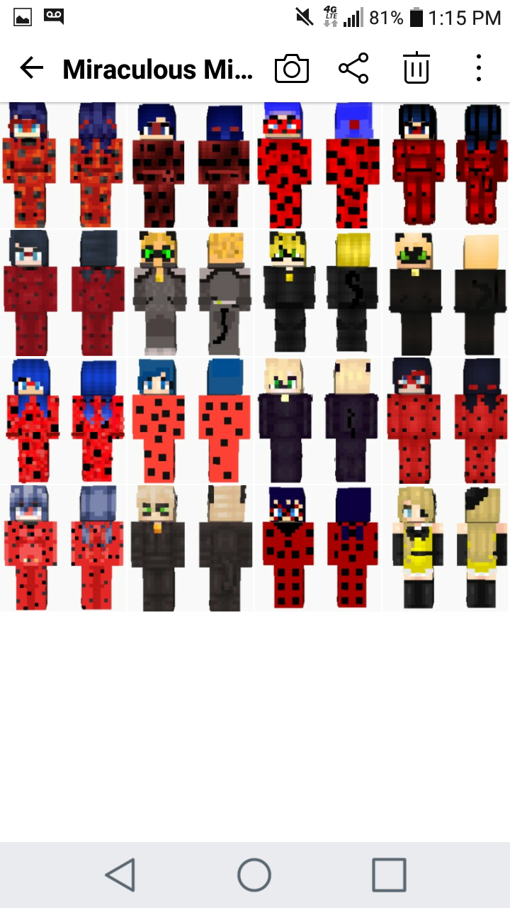 minecraft ladybug and cat noir