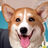 ILoveCORGISandChoices's avatar