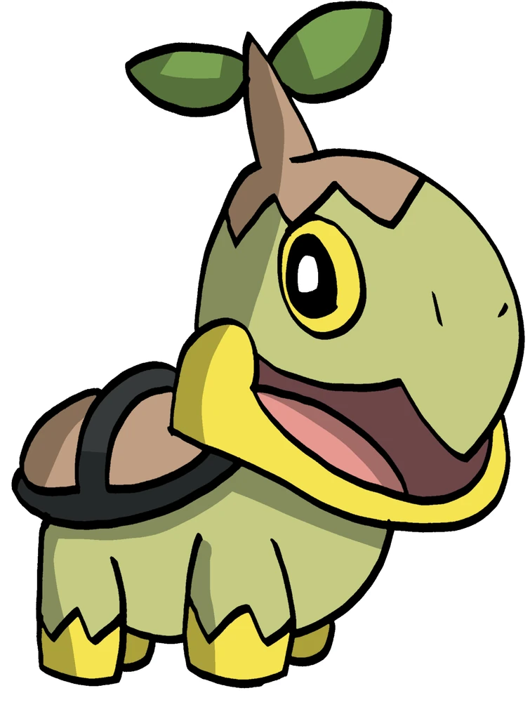 My drawing of Turtwig Fandom