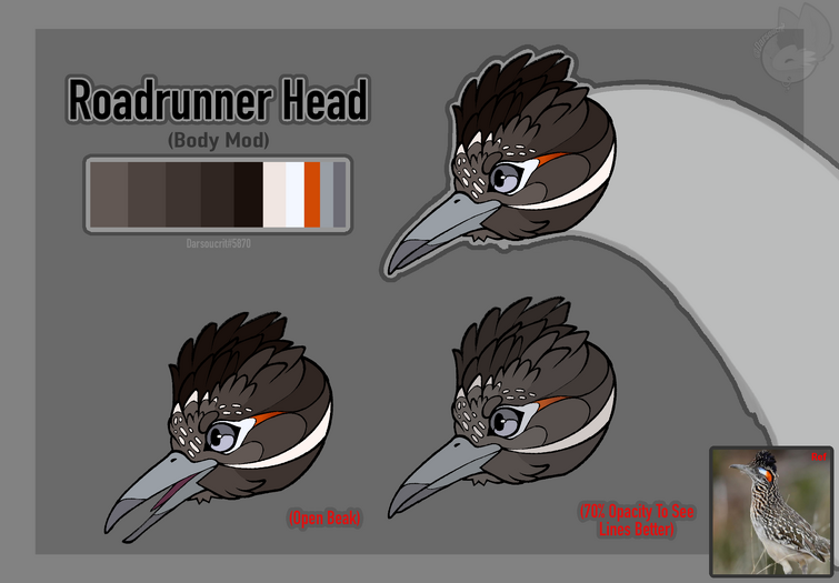 Roadrunner Head [Finished]