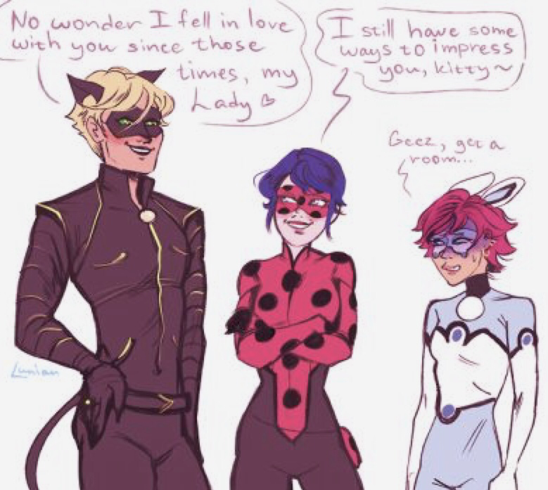 Adult Cat Noir, Ladybug And Bunnix | Fandom