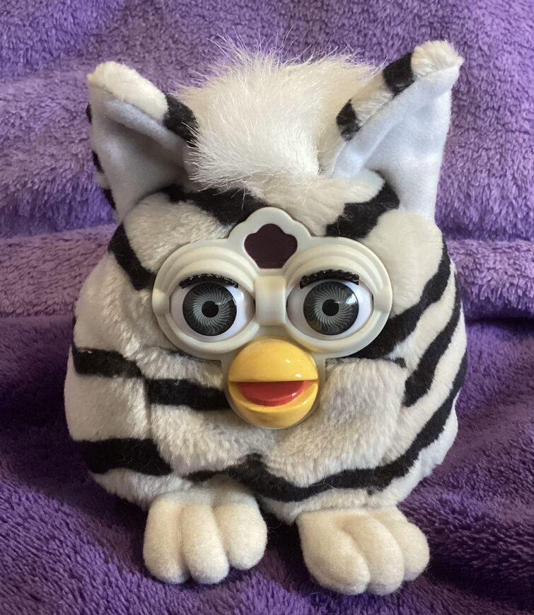 Fandom Image