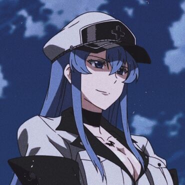 Would you like Esdeath to kick you in the face | Fandom