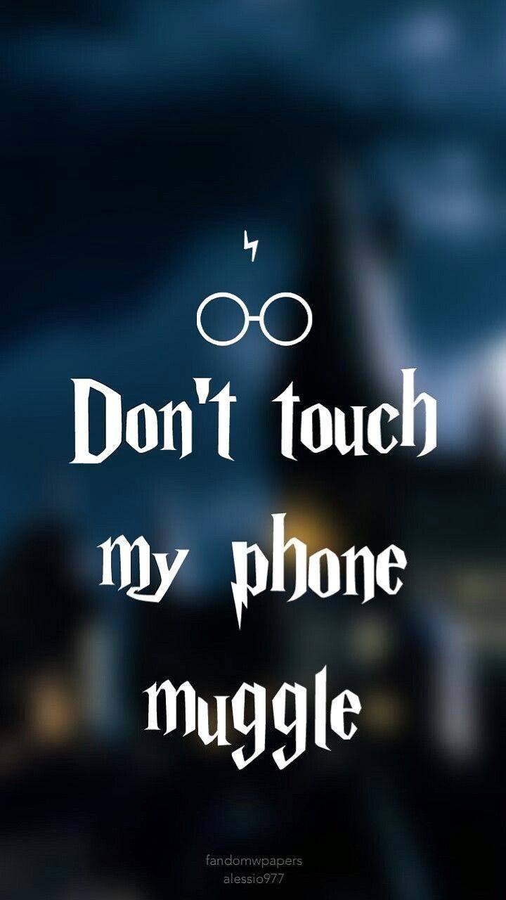 Dont Touch Muggle Fandom