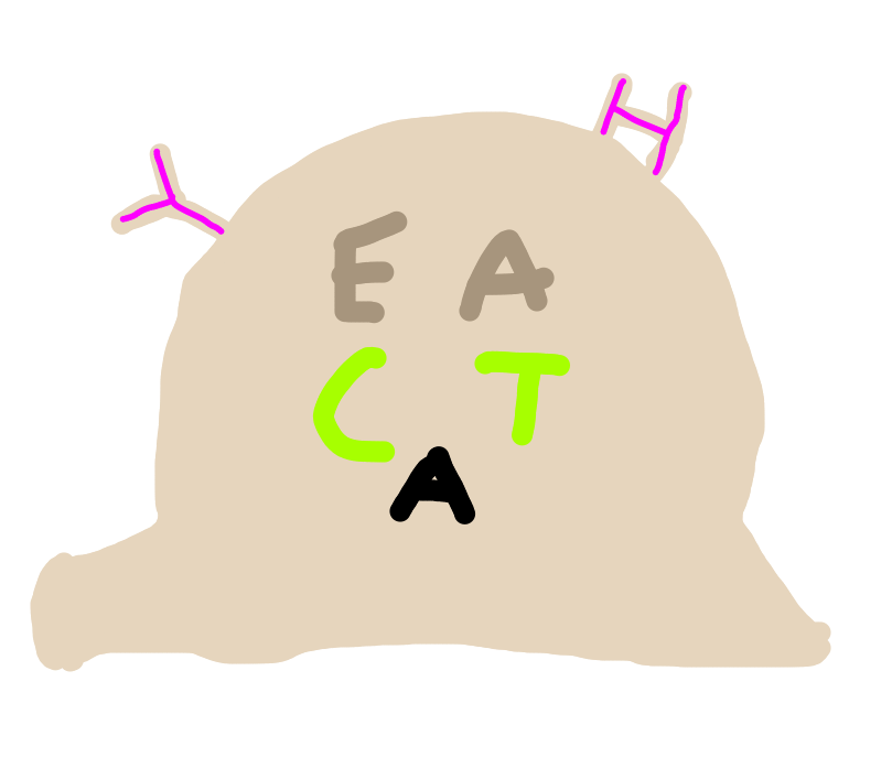 weird-looking-yeah-cat-logo-i-made-fandom