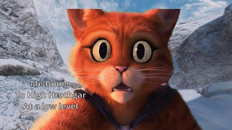 Skyrim Puss In Boots Meme