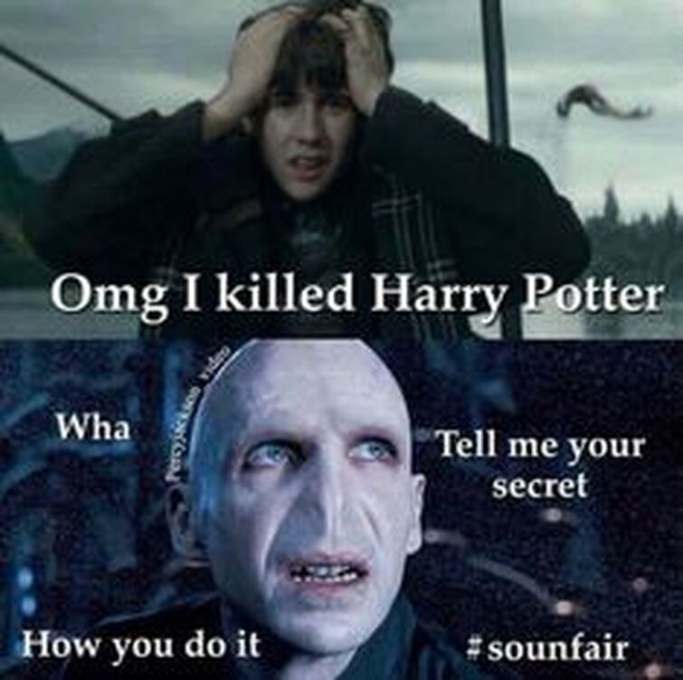 I am Lord Voldemort : r/HarryPotterMemes
