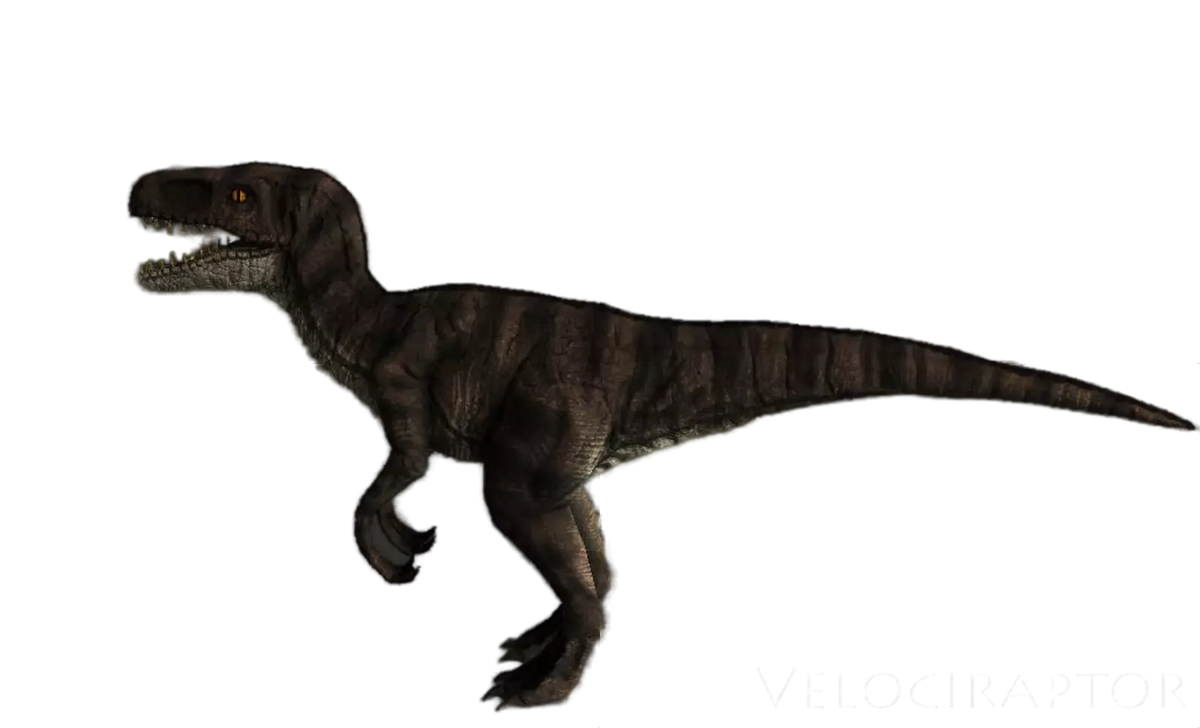 Utahraptor 1games Wiki Fandom