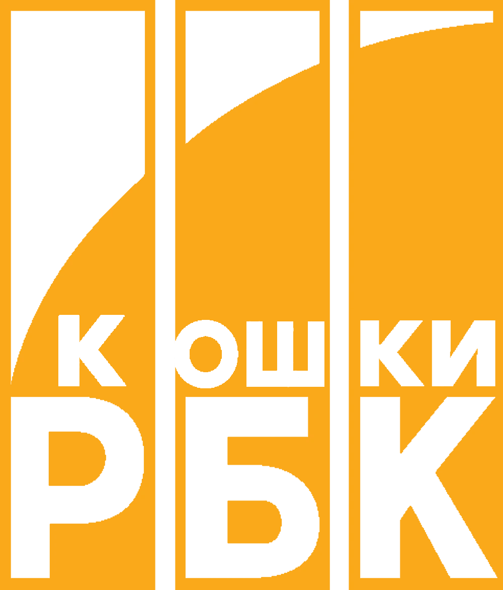 РБК лого. РБК ТВ логотип. Телеканал РБК. Телеканал логотип РБК 2003.