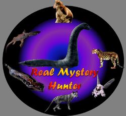 Real Mystery Hunter.jpg