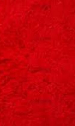 Redcarpetpurry.jpg