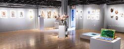 Header About-NBCCD George-Fry-Gallery.jpg