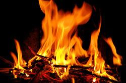Fire fire.jpg