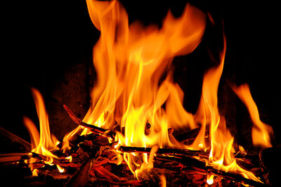 Fire fire.jpg