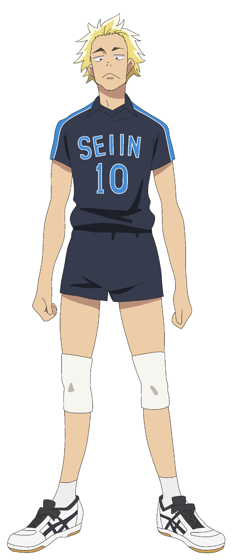 2.43 Seiin High School Boys Volleyball Team synopsis |