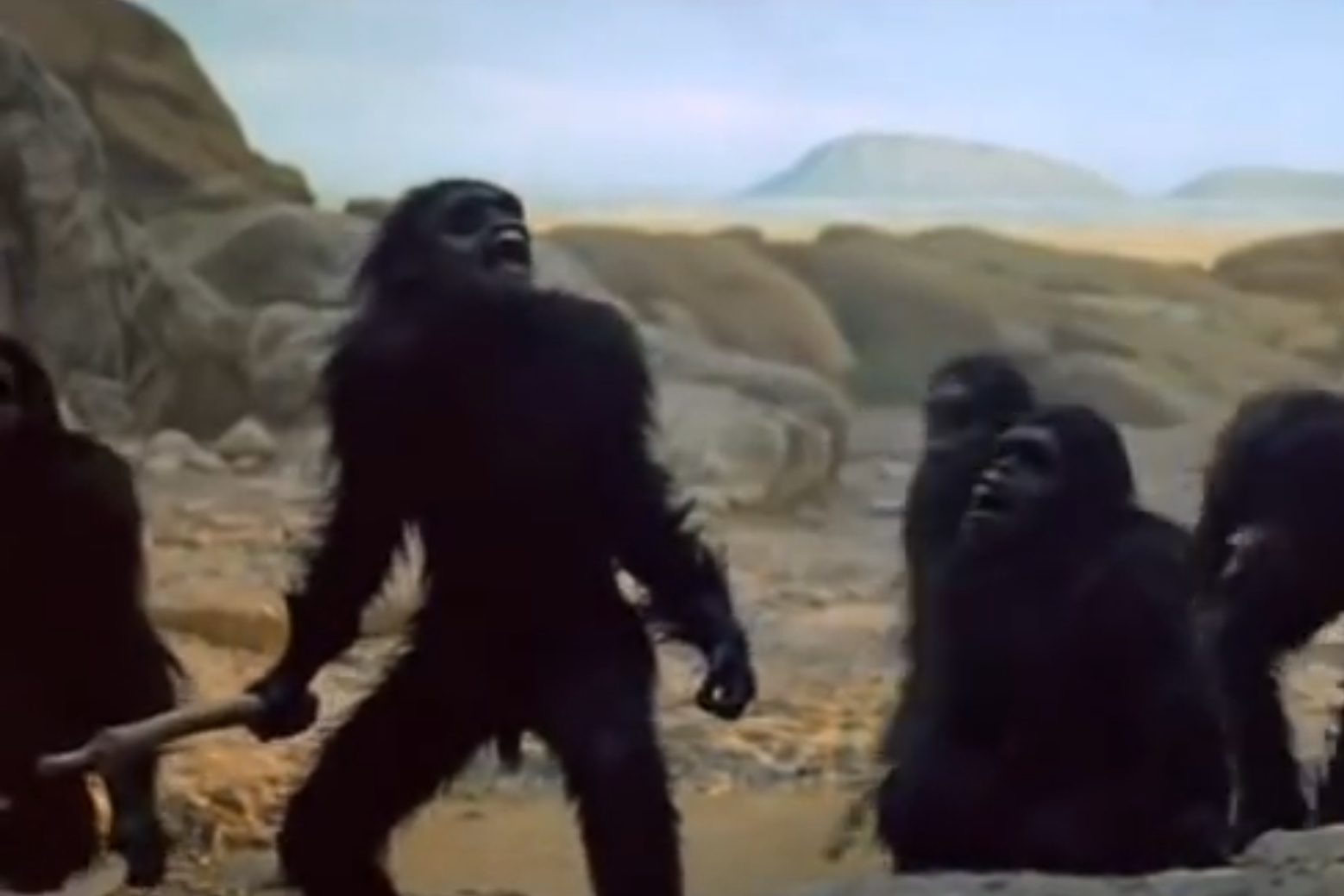 2001 a space odyssey apes