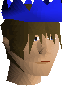 A blue partyhat, one of the many holiday items.