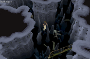 Underwater GWD3