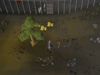 Cryptic clue - talk to piles.png