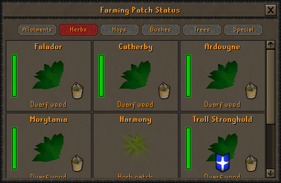 Geomancy interface.png