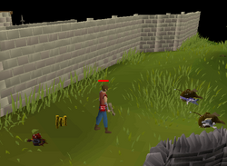 World 666 outside Falador