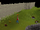 World 666 outside Falador.png