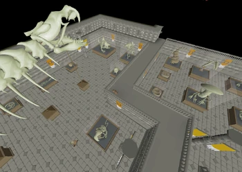 The paleontology floor of the Museum.