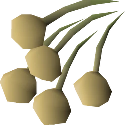 fertilizer for pepper plants Pepper & Herb Fertilizer 11-11-40 | Water-Soluble main image 1
