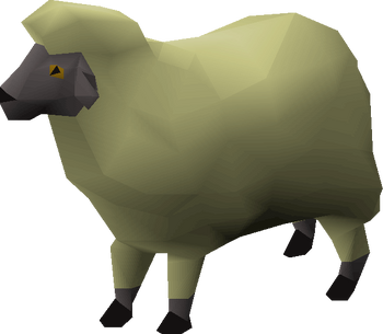 Sick-looking sheep (4)