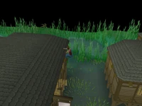 Canifis Agility Course 4