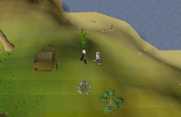 Cryptic clue - speak hajedy brimhaven.png
