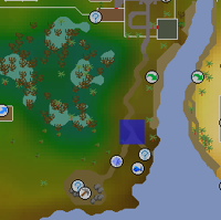 Hot cold clue - Lumbridge Swamp map