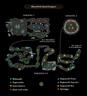 Waterbirth Dungeon Map