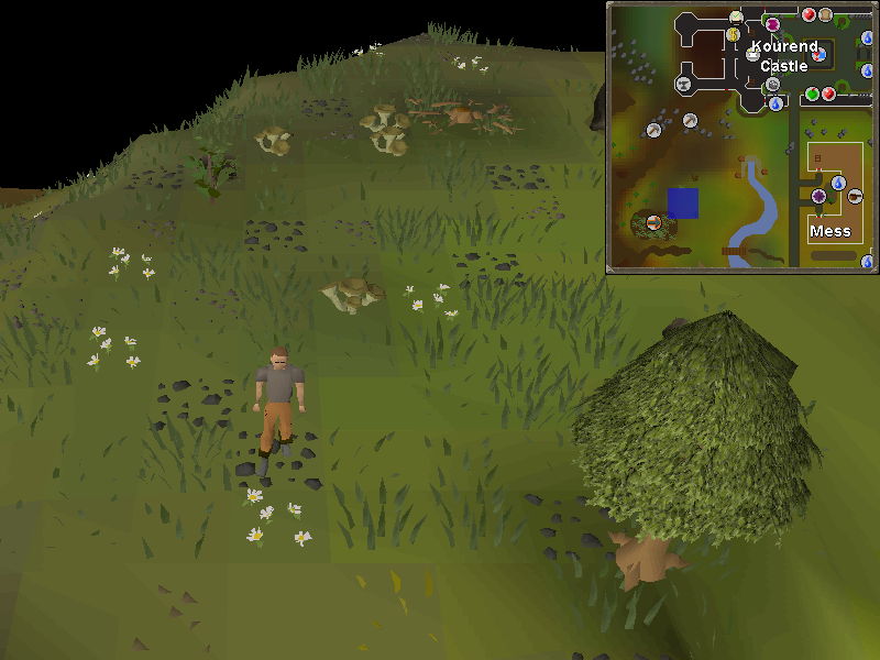 has anyone found the helm of raedwald osrs