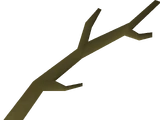 Willow branch