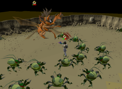 Fighting Kalphite Queen