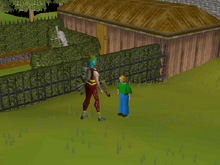 Door key (Witch's House) - OSRS Wiki